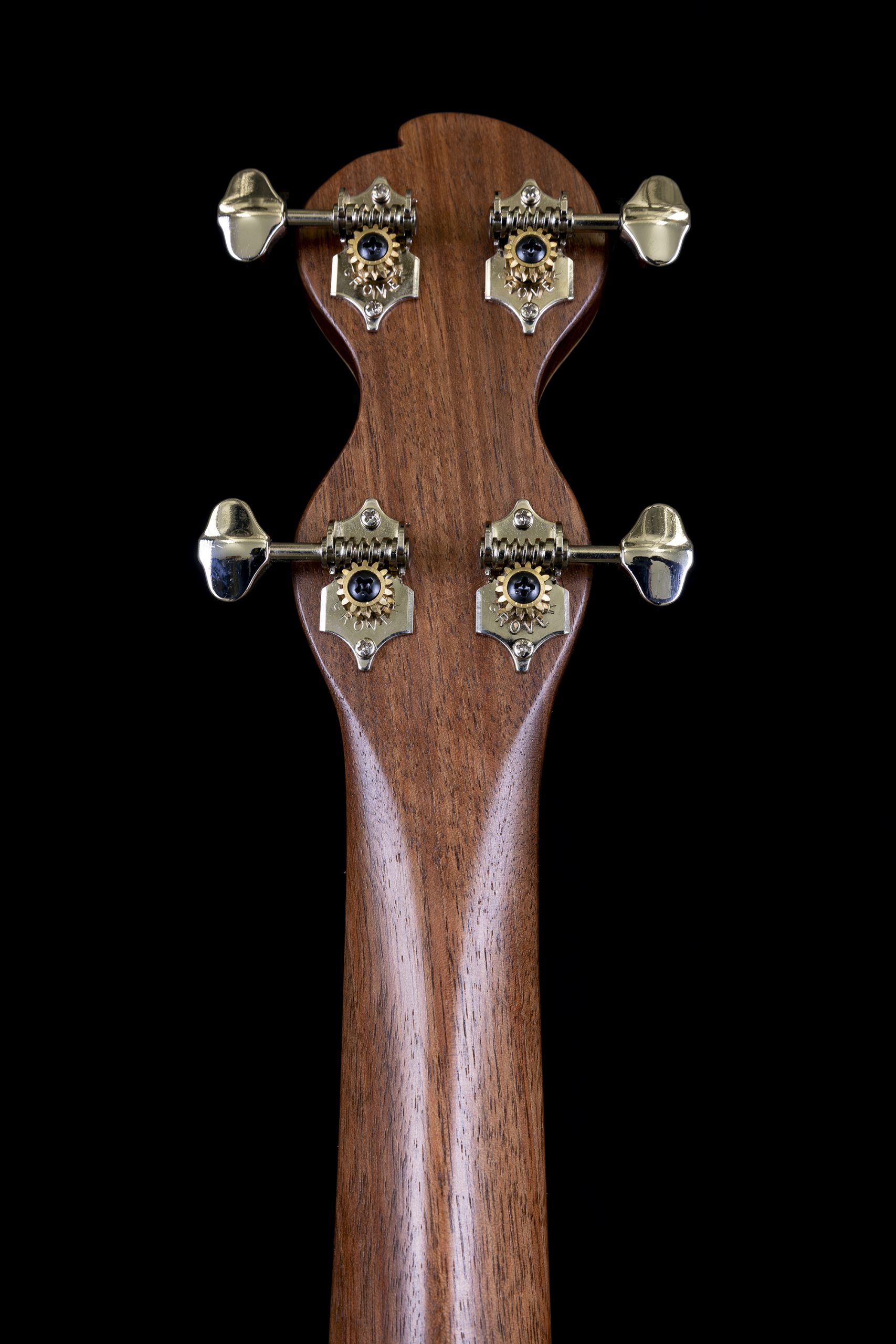 LB-1 Banjolynn - Image 12